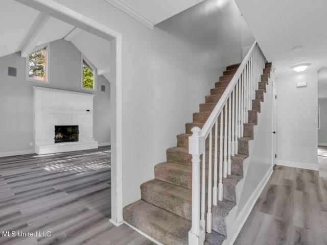 House for sale in Columbus, Mississippi