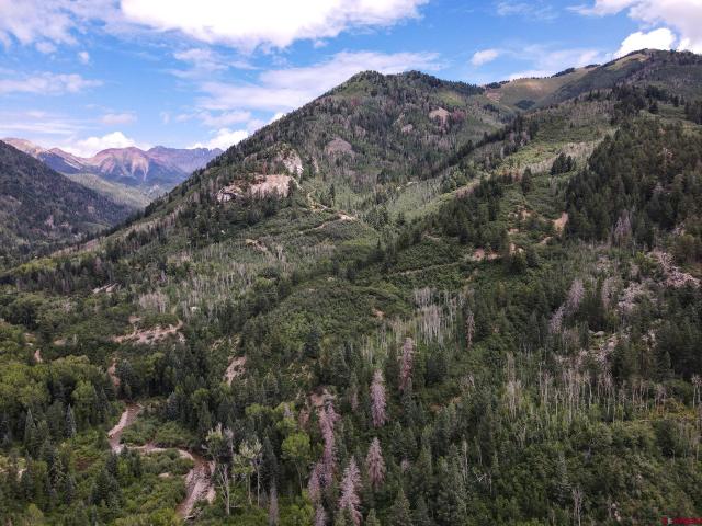 Land for sale in La Plata, Colorado