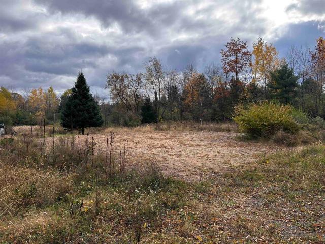 Land for sale in Bowler, Wisconsin