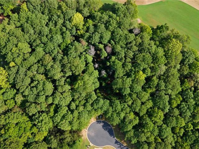 Land for sale in Ball Ground, Cherokee County