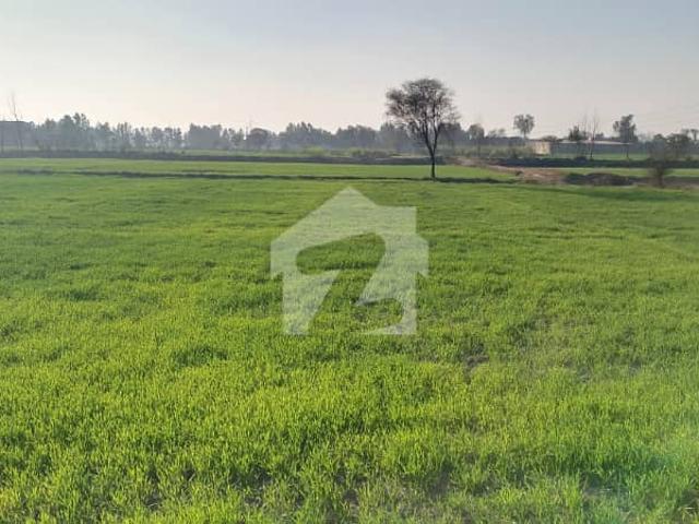 Land for sale in Kasur, Islamabad Capital Territory