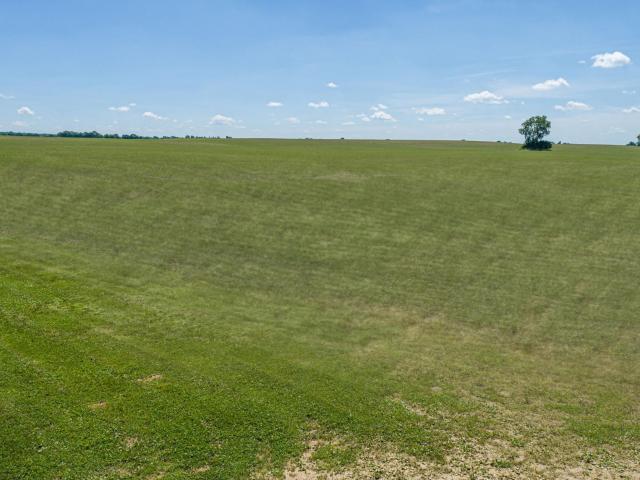 Land for sale in Le Sueur, Minnesota