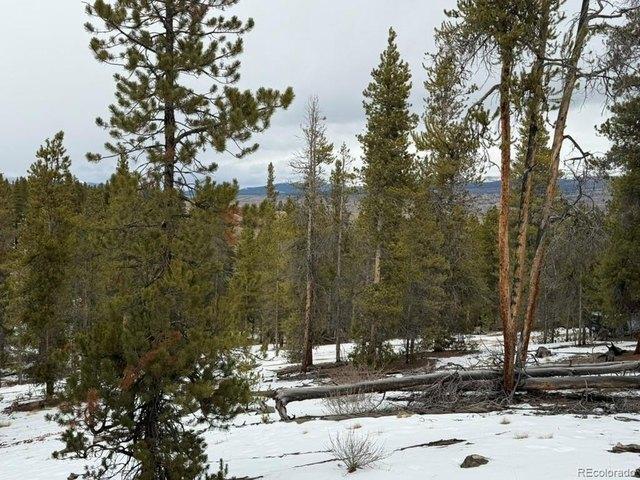 Land for sale in Twin Lakes, Colorado