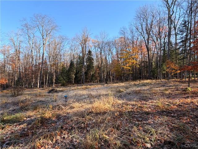 Land for sale in Old Forge, Herkimer County