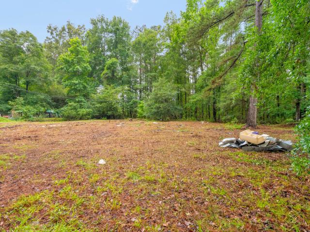 Land for sale in Ridgeville, Dorchester County