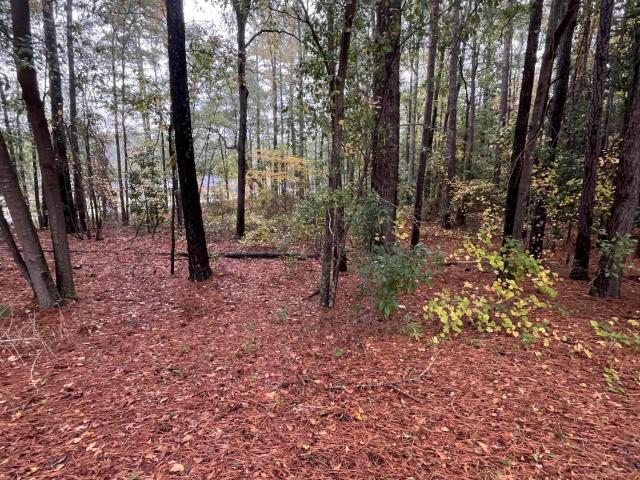 Commercial for sale in Rockingham, North Carolina