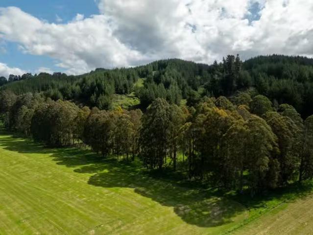 House for sale in Tasman