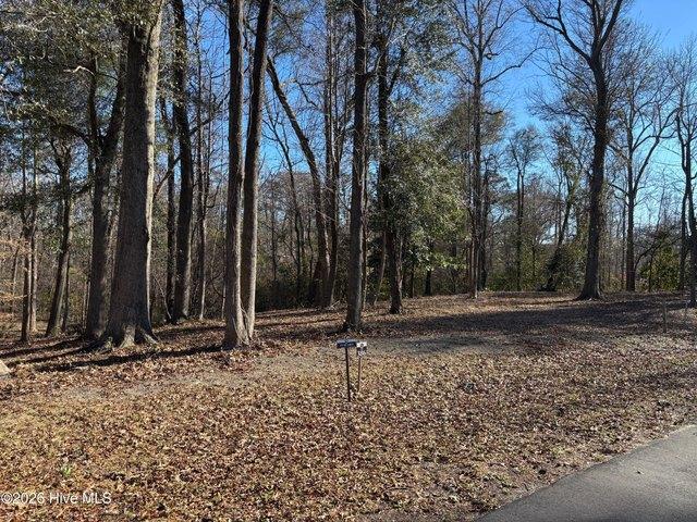 Land for sale in Castle Hayne, North Carolina