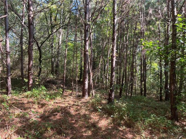 Land for sale in Haralson, Georgia
