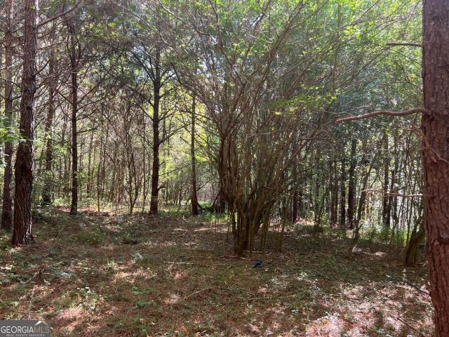 Land for sale in Haralson, Georgia