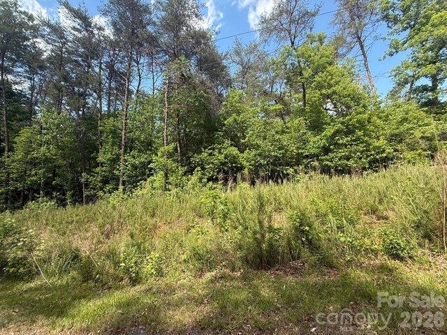 Land for sale in Troy, North Carolina