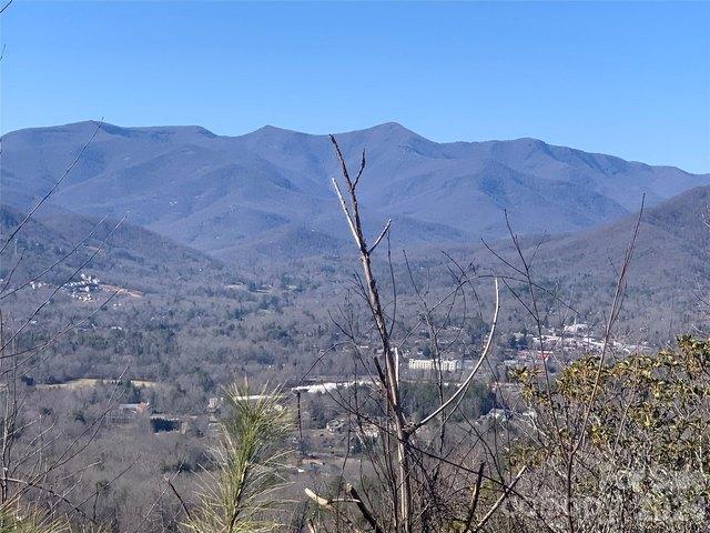 Land for sale in Black Mountain, North Carolina