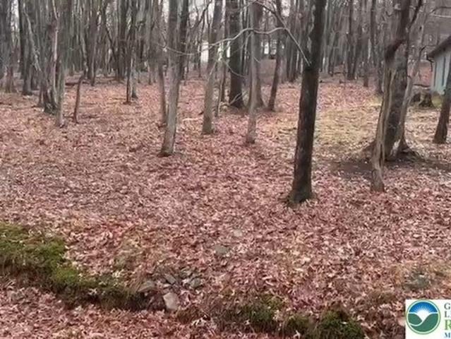 Land for sale in Carbon, Pennsylvania