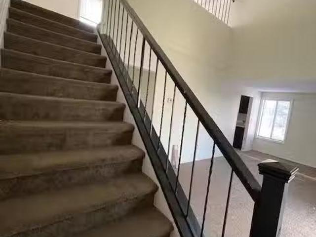 Apartment for rent in East Hartford