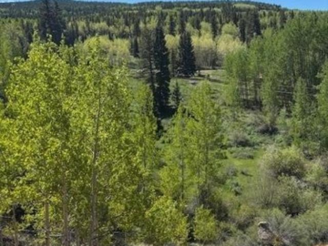 Land for sale in Teller, Colorado