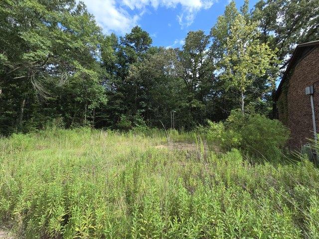 Land for sale in Hattiesburg, Mississippi