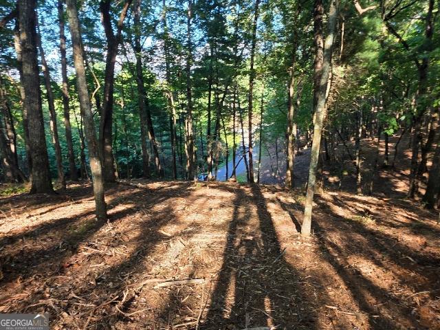 Land for sale in Gilmer, Georgia
