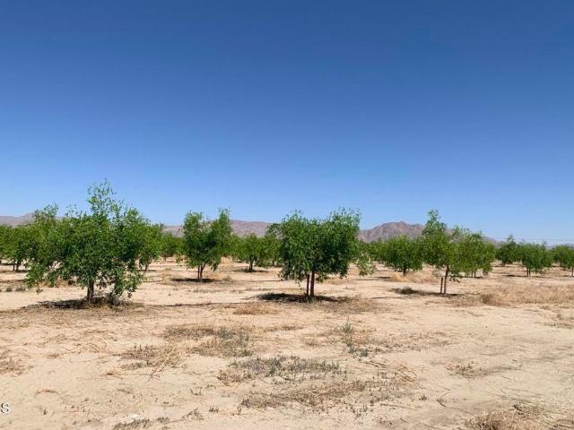 Land for sale in Lucerne Valley, California