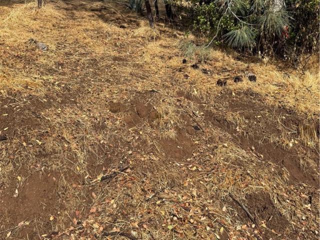Land for sale in Lake, California