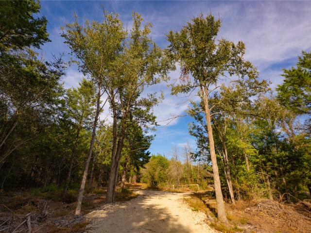 Land for sale in Hearne, Robertson County