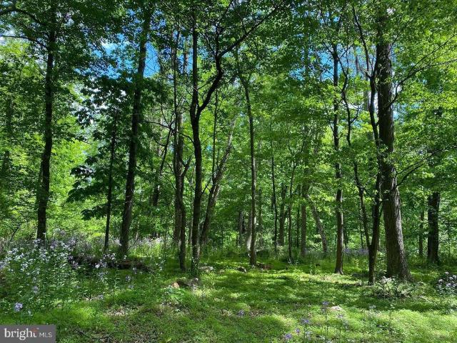Land for sale in Myersville, Maryland