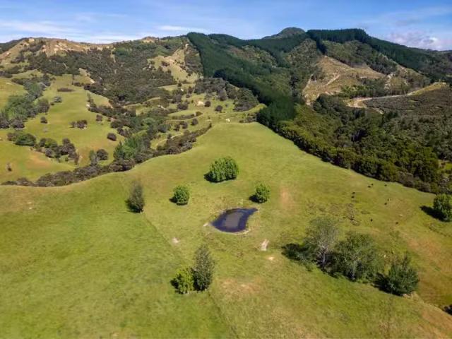 House for sale in Opaki, Wellington
