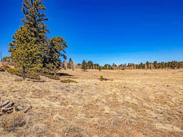 Land for sale in Hartsel, Park County