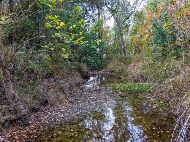 Land for sale in Flatonia, Fayette County