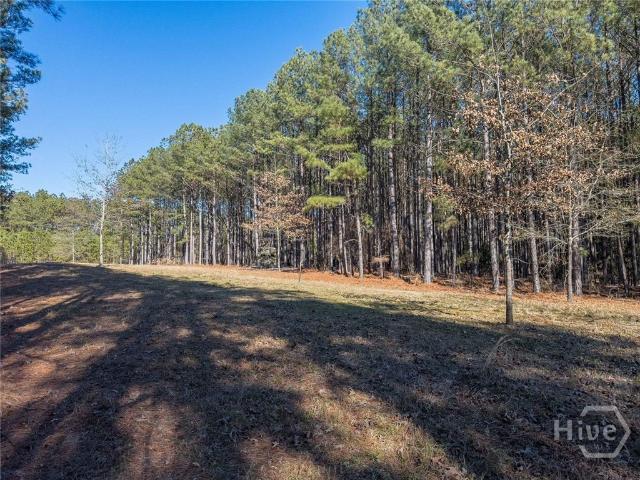 Land for sale in Tignall, Georgia