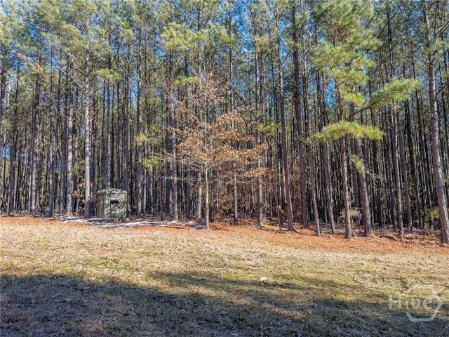 Land for sale in Tignall, Wilkes County