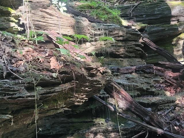 Land for sale in Tennessee