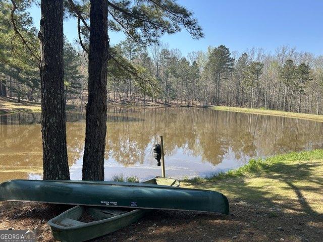 Land for sale in Union Point, Georgia