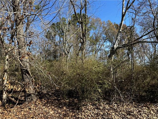Land for sale in Mandeville, Louisiana