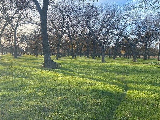Land for sale in Gustine, Texas