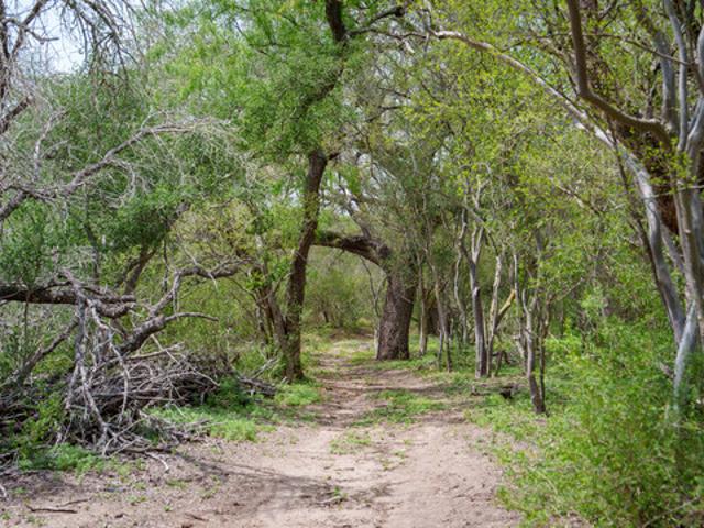 Land for sale in Wilson, Texas