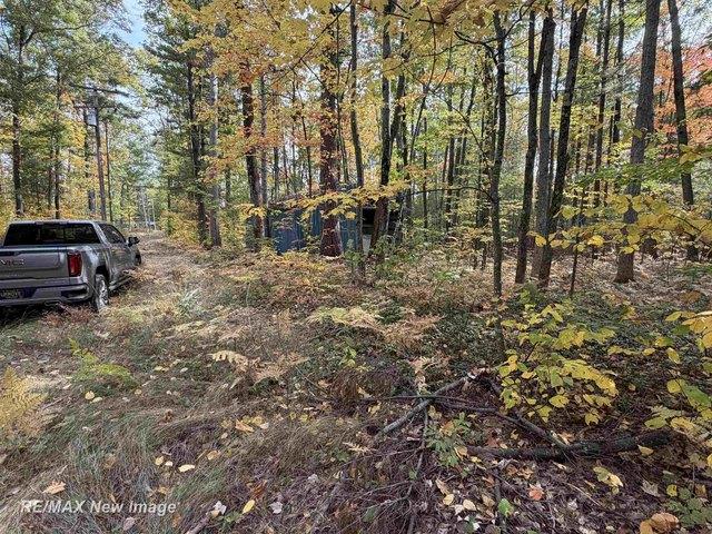 Land for sale in Topinabee, Mullett Township