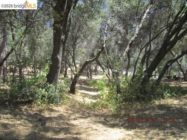 Land for sale in Groveland, California