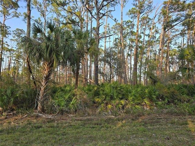 Land for sale in Port Charlotte, Charlotte County