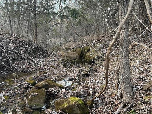 Land for sale in Seminole, Seminole County
