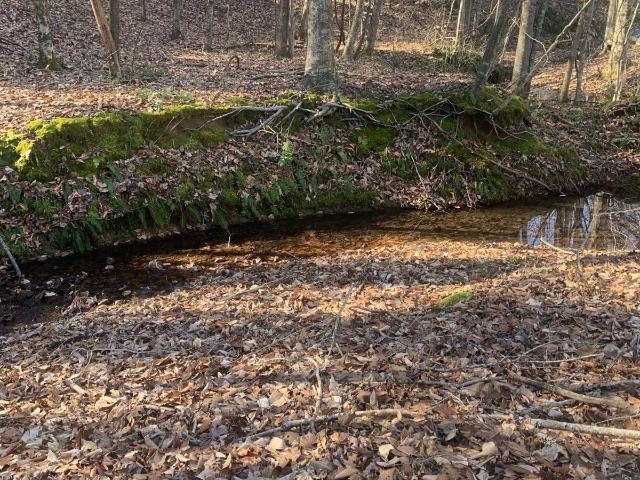 Land for sale in Tennessee