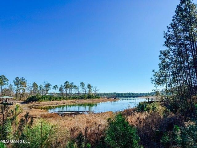 Land for sale in Leakesville, Mississippi