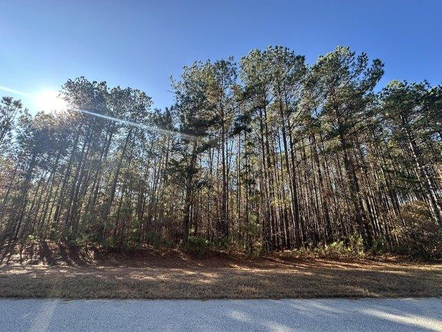 Land for sale in Tignall, Georgia