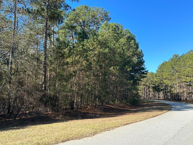 Land for sale in Tignall, Georgia