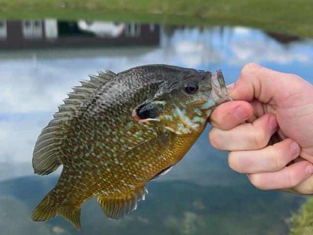 House for sale in Houghton Lake, Michigan