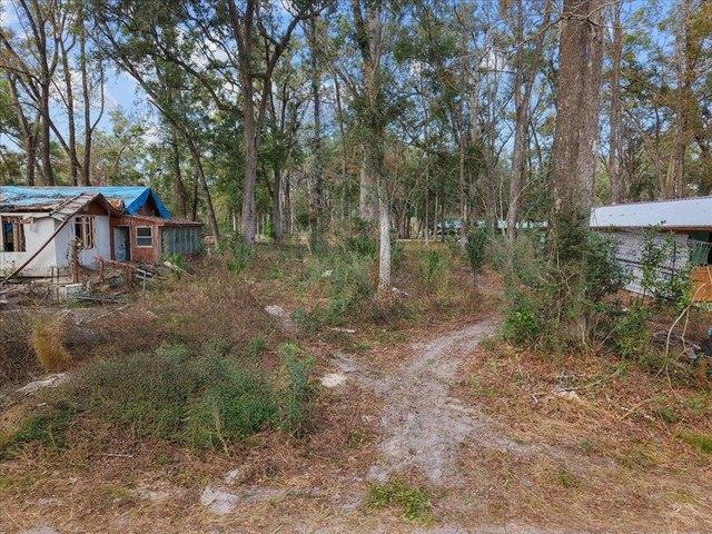 Land for sale in Dixie, Florida