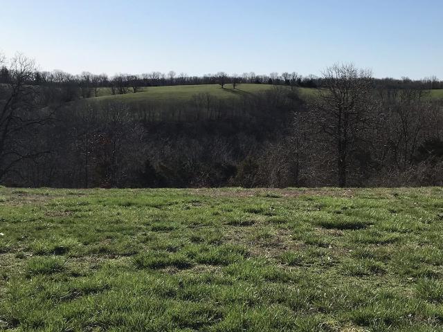 Land for sale in Cape Fair, Missouri