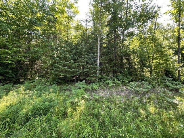 Land for sale in Sawyer, Wisconsin