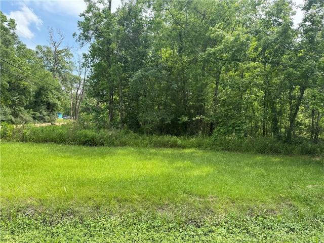 Land for sale in Roseland, Louisiana
