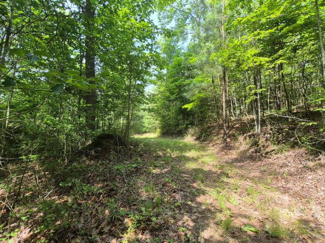 Land for sale in Tennessee