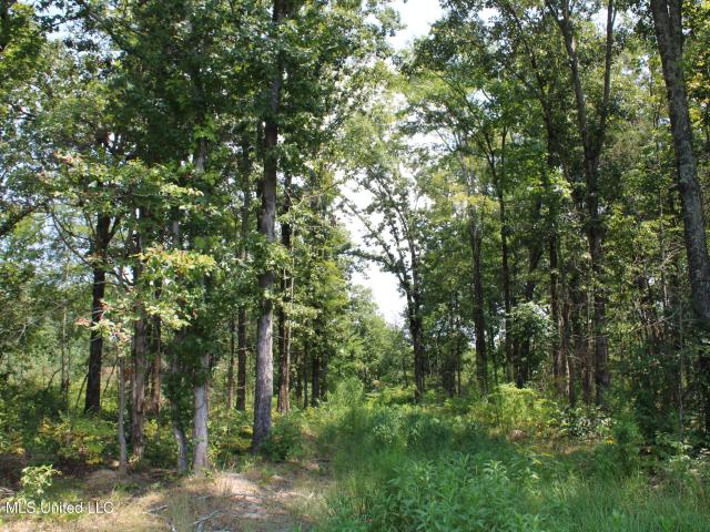 Land for sale in Tishomingo, Mississippi